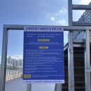 스케이트보드 기초 | 광안리스케이트보드 페스타 현장 후기, 무료교육부터 스케이트보드 파크까지 살펴보고 온 후기