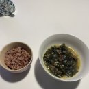 경칩