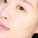 사바비안 네이버블로그
