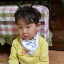 연주 벌꿀
