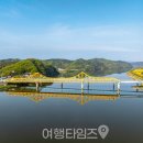 낙동강체육공원 인라인스케이트장+게이트볼장 | &#34;110만㎡ 가을꽃밭과 산책길&#34; 전국에서 손꼽히는 가을꽃 명소 여행지