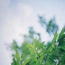 [재경관리사] 원가관리회계 이미지