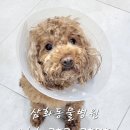 삼화4길 6-1 이미지