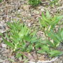 상태농장 이미지