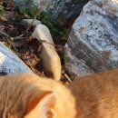 분평종합동물병원 이미지