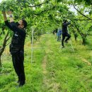 영덕군농업기술센터 이미지