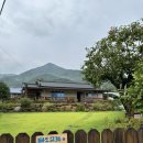 파도마을 삼냥이네 이미지