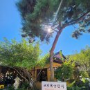 고기리금잔디 네이버블로그