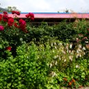 오동  마을회관 이미지