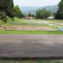 충주반딧불오토캠핑장 이미지