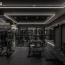 더그레이짐 이미지