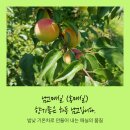 현옥농장 이미지