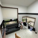 수피아호스텔 이미지