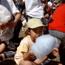 배꽃유치원 이미지