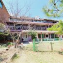 댕댕이계곡펜션 이미지