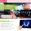 네비킹