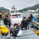 남해미조잠수 네이버블로그
