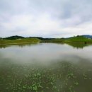 뉴소망약국 이미지