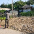 부여농약마트 이미지