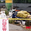 말바우 농장 이미지