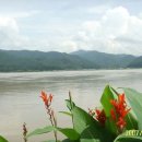 바람불어 좋은날 이미지