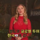 샛별D&P 이미지