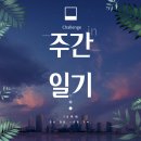 주간일기 챌린지 10주차 (8.8~8.14)