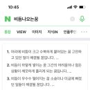 몽몽 꿈 별 이미지