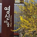 영신마을 영농조합법인 이미지