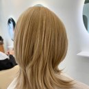 봄;살롱 이미지