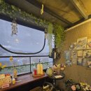 블란디야 이미지