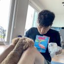 보성바다스토리리조트 이미지