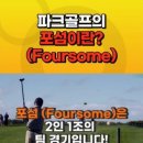 [파크골프 레슨] 포섬은 어떤 경기방식인가? #파크골프 #파크골프치는법 이미지