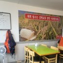 벨라 펫 살롱 이미지