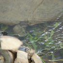 대산농장 이미지