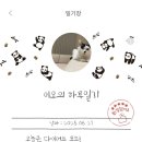 전북펫