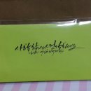 바오캘리 이미지