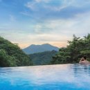 포레스트 리솜 이미지