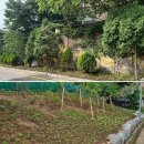 조원동-2 이미지