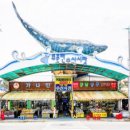 주문진수산시장 이미지