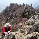 북일면소재지  강진경계 | [근교산&amp;그너머] <1457> 전남 강진 주작산