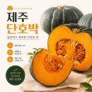 호박 - 강동구 양재대로147길 18 | 호박