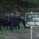 염소연구소 이미지