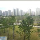망월천_호수공원2 네이버블로그