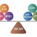 Wellness Gym 이미지