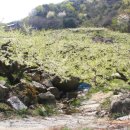 강학2리 이미지