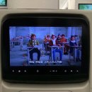 광민약국 | 11.1-11.30