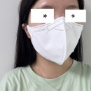 애니가드 비컬러 입체형 방역 마스크 대형 KF94 사용 후기_더마테스트 코리아 서포터즈 14기