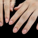 네일군，젤양