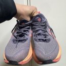 1169 | 1년 동안 1169km 달린 러닝화, 아식스 슈퍼블라스트2 솔직 후기”